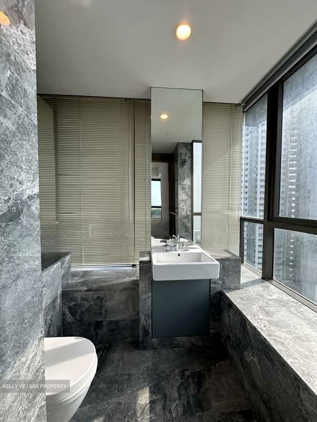 Skyline Residences (D4), Condominium #582424631